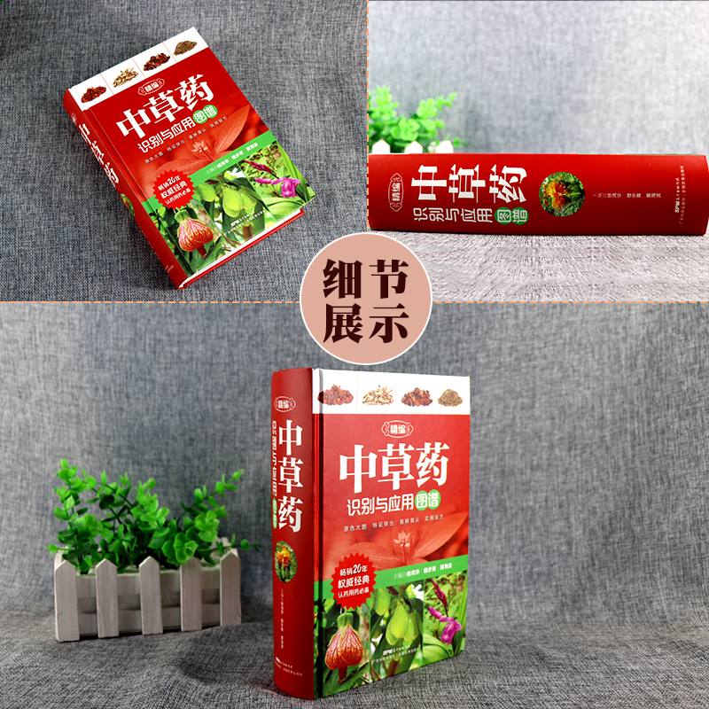 [正版]精编中草药识别与应用图谱徐鸿华楼步青黄海波主编彩图大全书野外常见植物速查图鉴本草纲目全套神农经李时珍书籍图解中高清大图