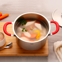 德国菲仕乐/Fissler 小红柄24cm深双耳汤锅 不锈钢锅奶锅煮锅炖锅 防滴边漏设计多灶炉通用