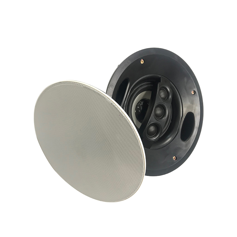 启诺QN-TK119 视频会议吸顶音箱 吊顶天花音箱嵌入式喇叭 黑色 台高清大图