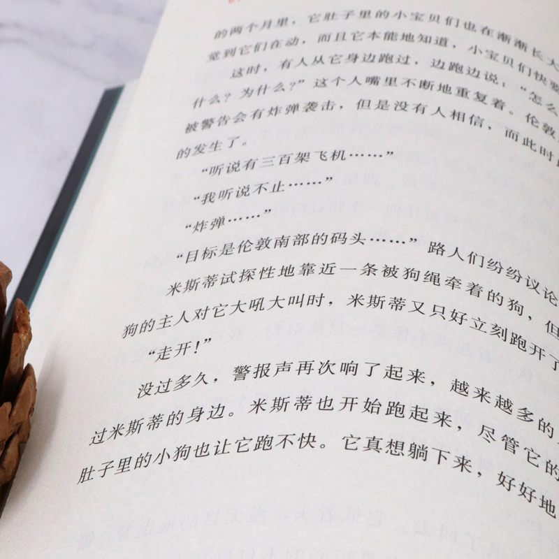 狗狗的胜利 [正版]世界新经典动物小说馆全5册套装 狗狗的胜利 老虎的奇幻之旅 伟大的逃亡中小学生课外阅读童文学探索生命