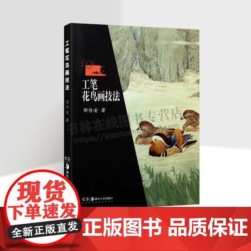 工笔花鸟画技法 邹传安 著 国画技法临摹画集底稿白描素材教材教程书籍 湖南美术出版社高清大图