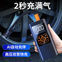 巨木便携式智能充气泵汽车摩托车足球打气筒数显胎压自动停 8807 有线款