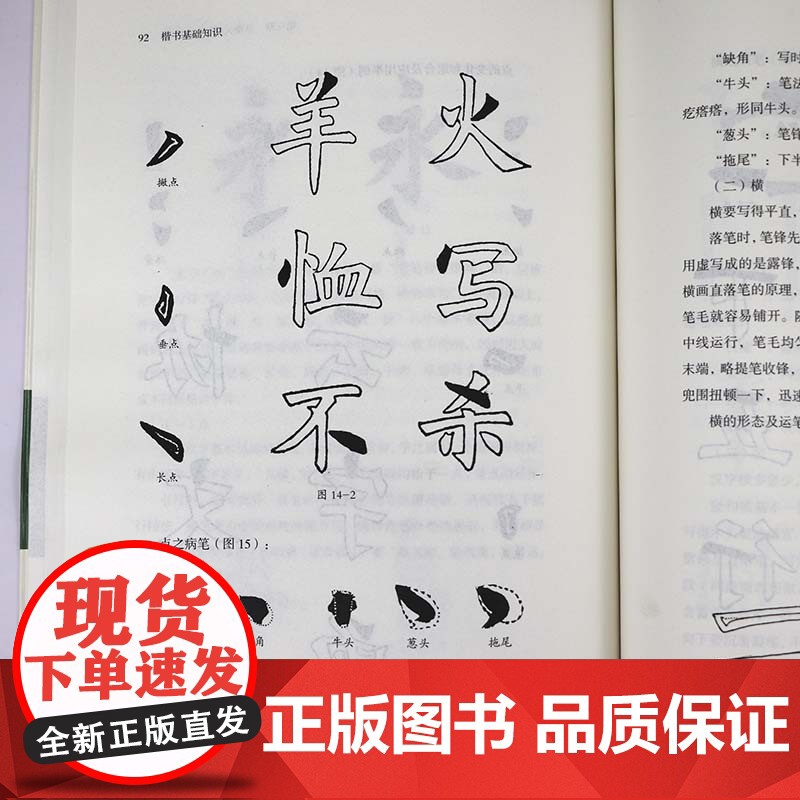 楷书基础知识 任政 钱沛云著书法知识丛书楷书用笔原理基本点画分析总结演化历程书法史书籍高清大图