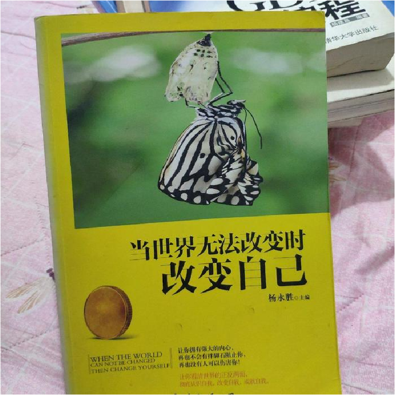 正版新书】当世界无法改变时改变自己杨永胜9787544272414
