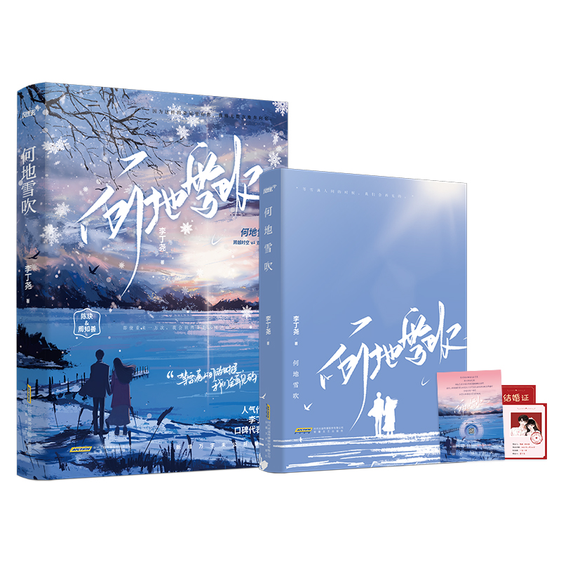 [正版] 何地雪吹 李丁尧 跨越时空双向救赎 年下姐弟恋青春言情OE结局 新增番外 晋江文学小说实体书高清大图