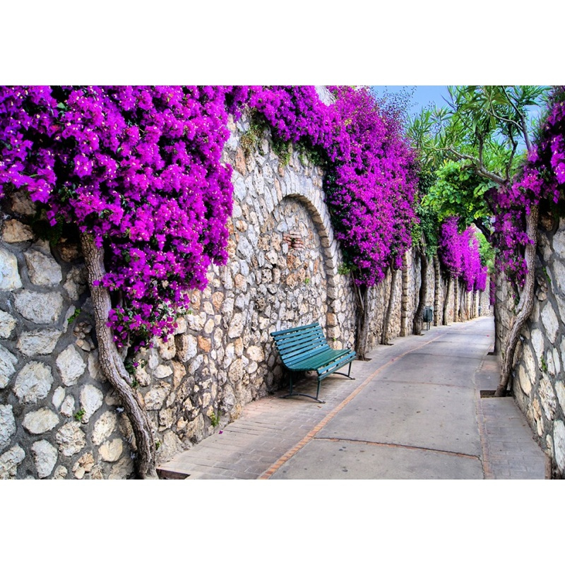 大型墙纸壁画定制3d欧洲花园小巷沙背景墙电视背景墙壁纸画壹德壹