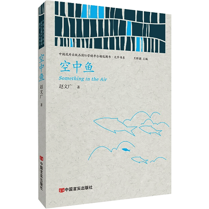 音像空中鱼赵文广