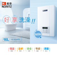 能率热水器JSQ31-D2/GQ-16D2AFEX(12T)