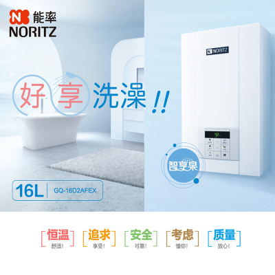 能率热水器JSQ31-D2/GQ-16D2AFEX(12T)