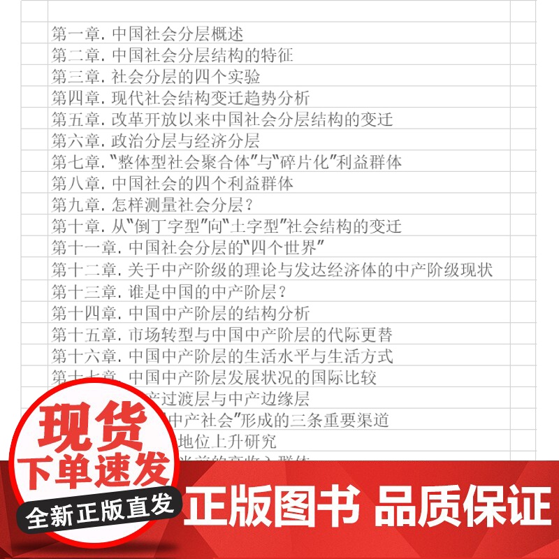 当代中国社会分层 生活书店出版李强教授 中国当代社会学经典中产 中国社会结构的俗易懂书籍中国社会各阶层分析社会各阶级的分高清大图
