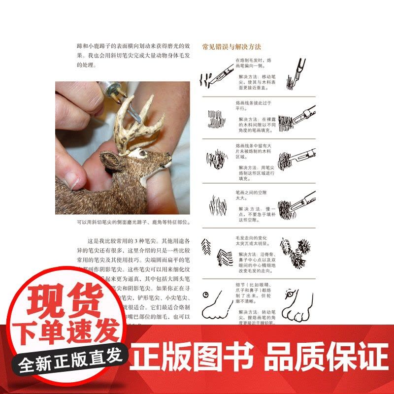 彩色木工雕刻 提高雕刻水平 制作可爱动物摆件 细致步骤 独特烙画技巧 详尽大师讲解 北京科学技术图片