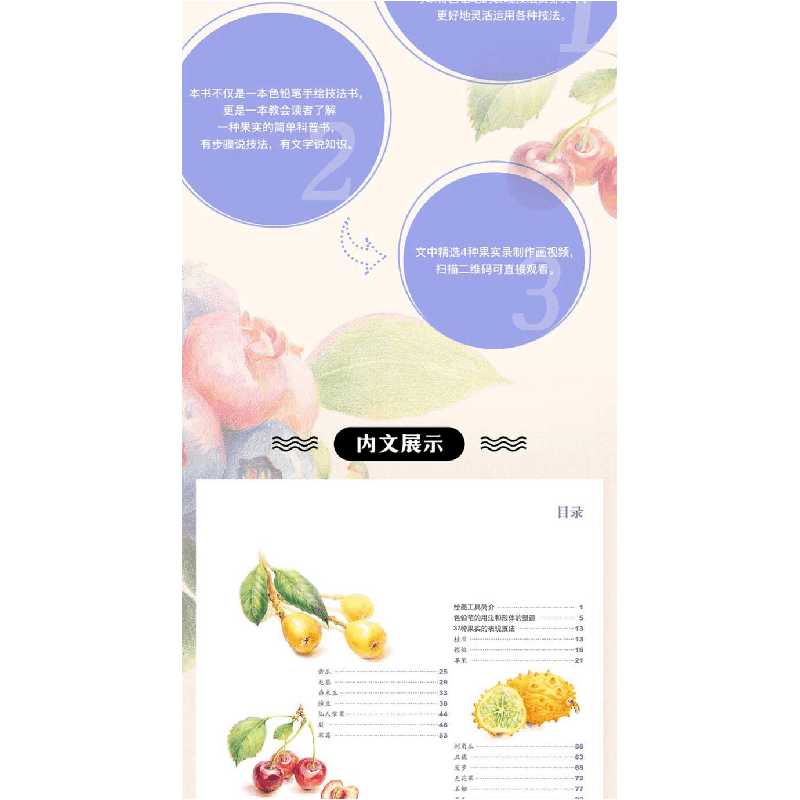 正版新书]色铅笔下的37种果实十六糖 著9787518056712图片
