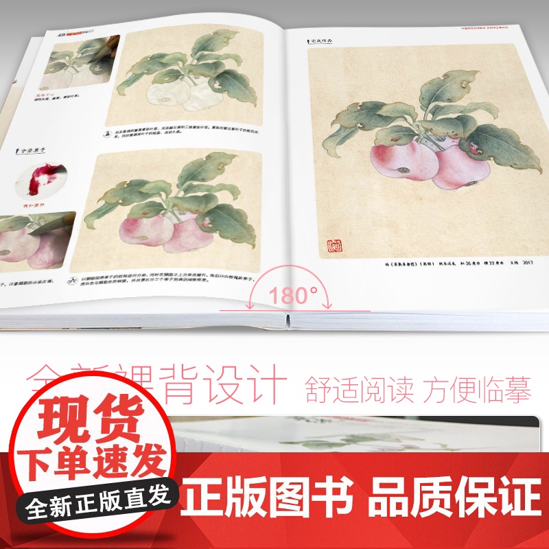 正统工笔花鸟技法入门基础教程书籍中国工笔画白描勾线杨建飞sh高清大图