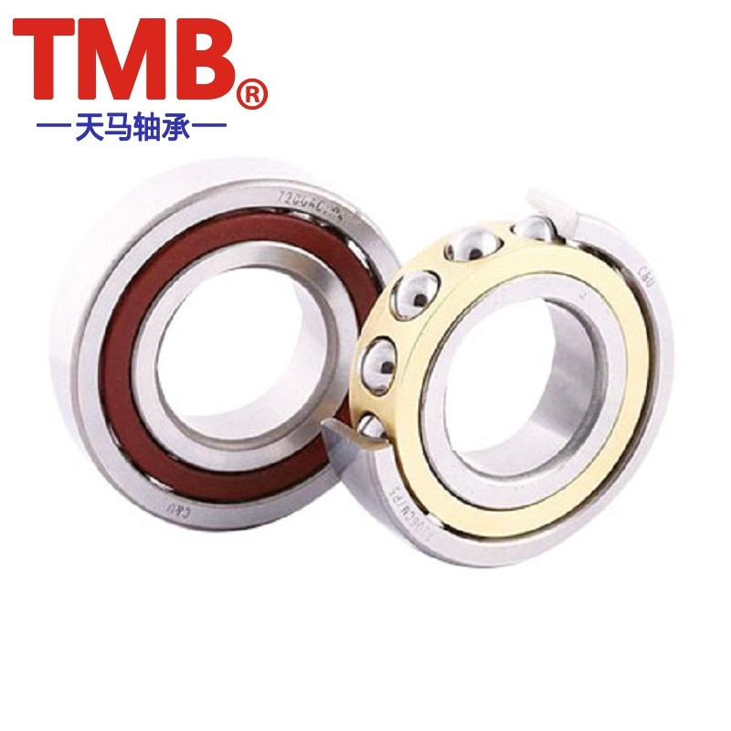 向心推力球轴承46219