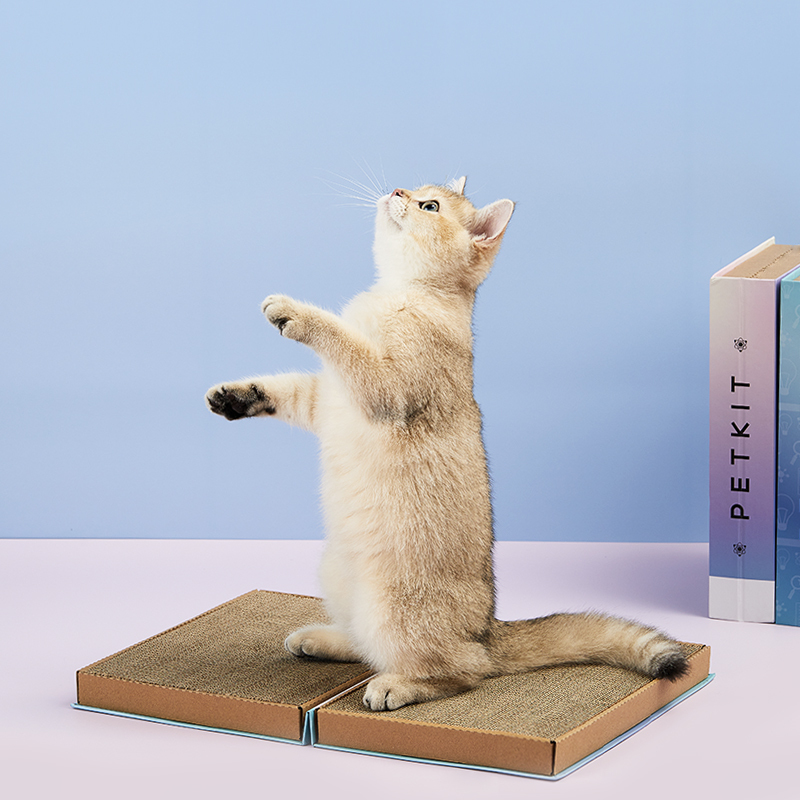 小佩猫基百科猫抓板梦幻紫收纳携带方便猫玩具粉磨爪器瓦楞纸猫窝垫猫爪板猫玩具猫咪用品