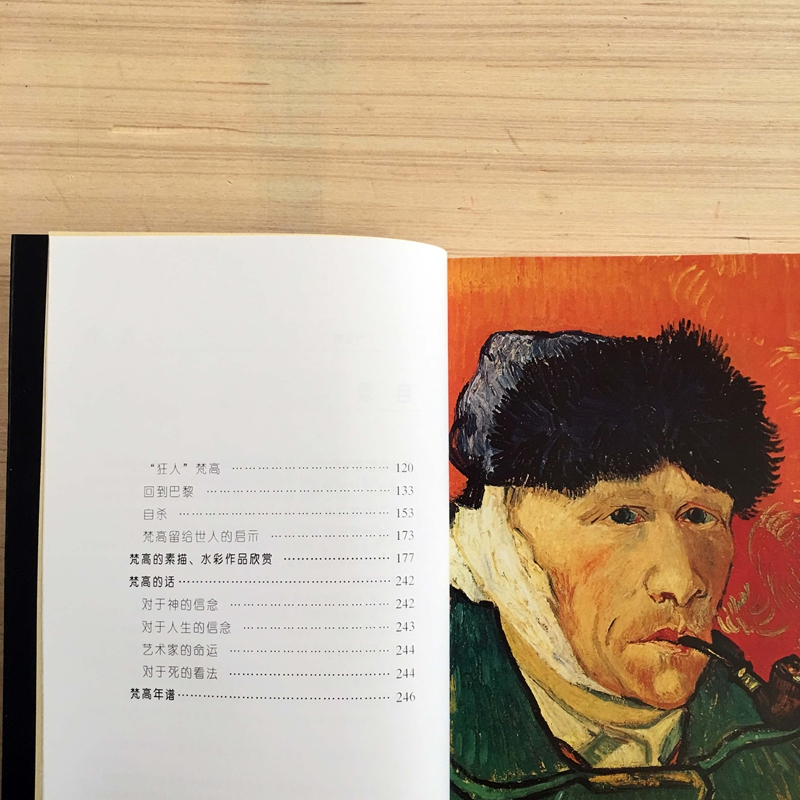 [正版]世界名画家全集 梵高/疯狂的天才画家 何政广 河北教育出版社 平装