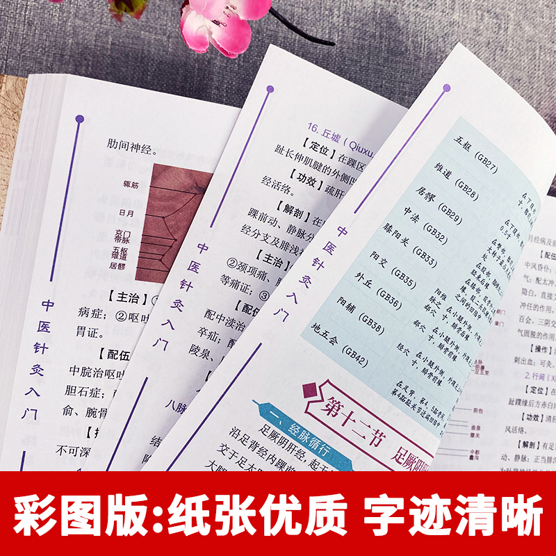 [正版] 中医针灸入门 中医针灸秘验与绝招 对症针灸取穴图解人体经络穴位使用详解书 经络腧穴学按压刺血疗法刺灸书 针灸大高清大图