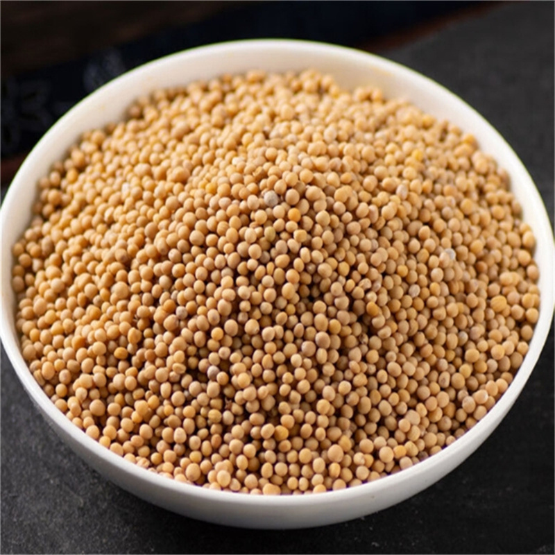 白芥子250克白芥子粉炒白介子莱菔子紫苏子三籽养亲汤高清大图