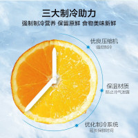 美的(Midea)小冰箱45升单门迷你微型租房宿舍办公室家用冷藏小型节能省电电冰箱低音 美妆可用BC-45M