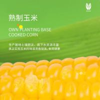 北大荒玉米东北糯玉米整箱发货2kg真空香糯早餐代餐香甜糯独立真空250g*8