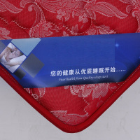 选兴 单人棕垫 标准5公分厚