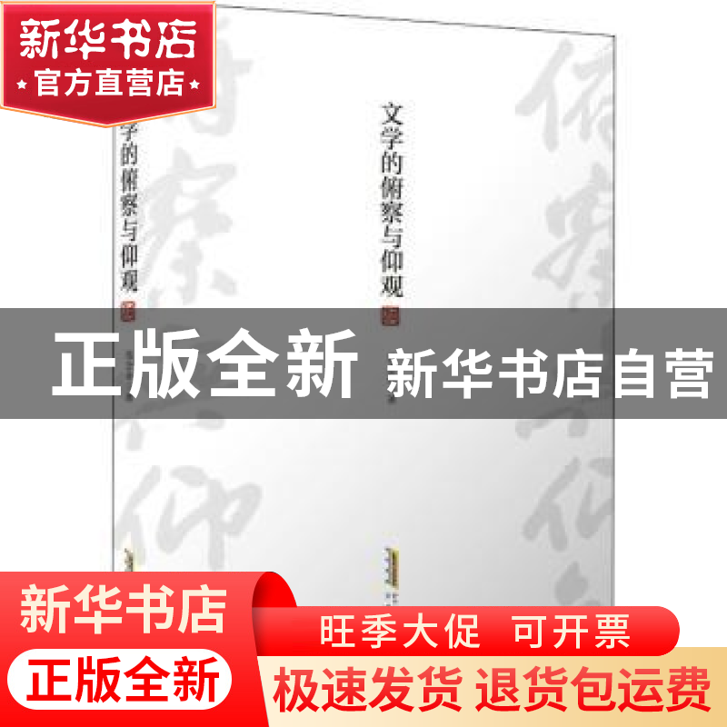 正版 文学的俯察与仰观 钱念孙 安徽文艺出版社 9787539673301 书高清大图