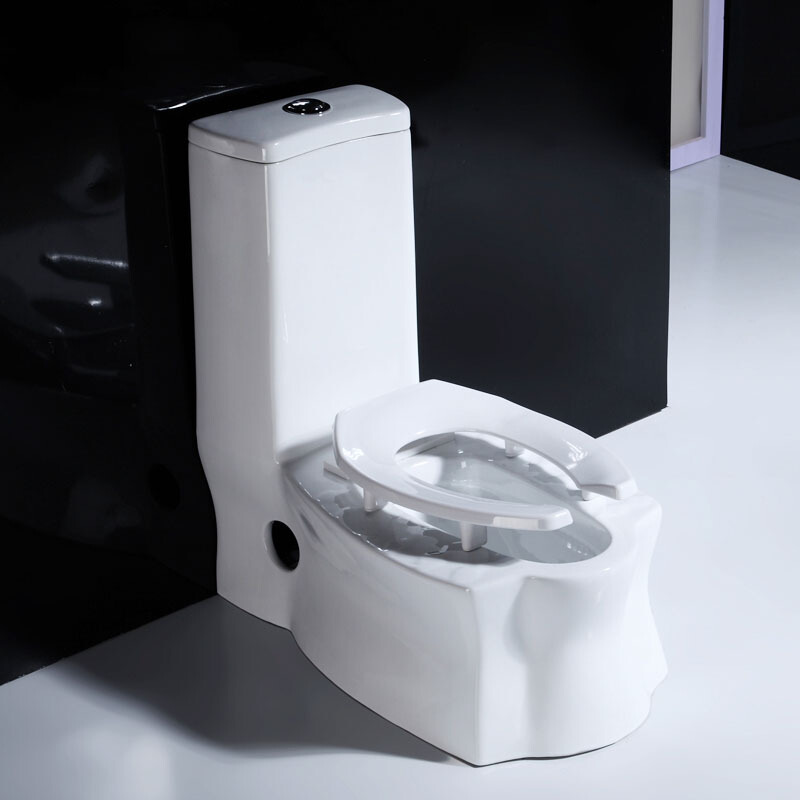 家用陶瓷蹲便器坐便器蹲坐双用冲水马桶喷射虹吸两用大便器 8288蹲便