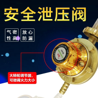 液化气减压阀家用煤气减压阀煤气罐阀门煤气瓶防爆安全减压 五层带钢丝燃气软管1米