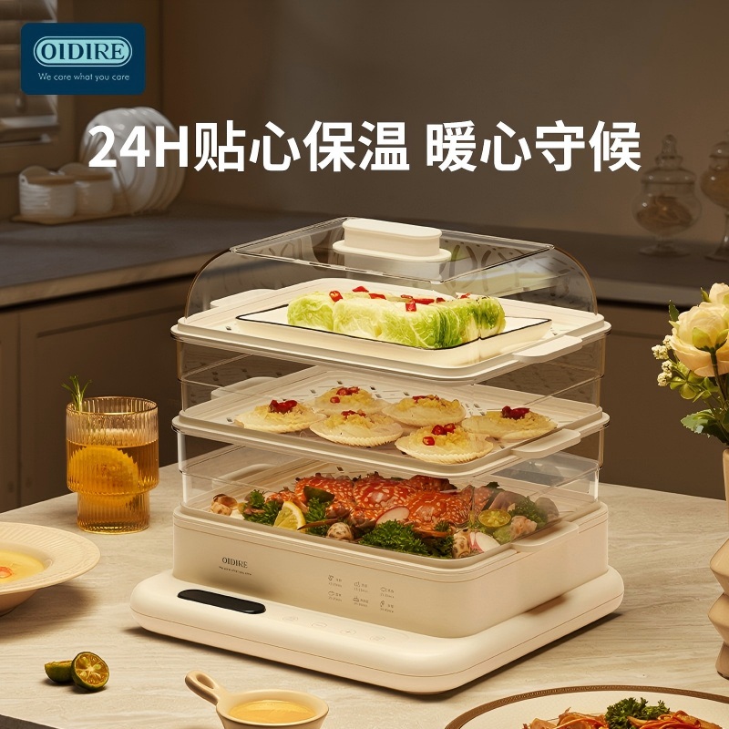 德国OIDIRE ODI-DZ01多功能电蒸锅高清大图