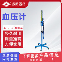 远燕 血压计 XJ-C（0~40kPa）立式水银血压计臂式手动血压测量仪仪器量血压器血压仪表 1台