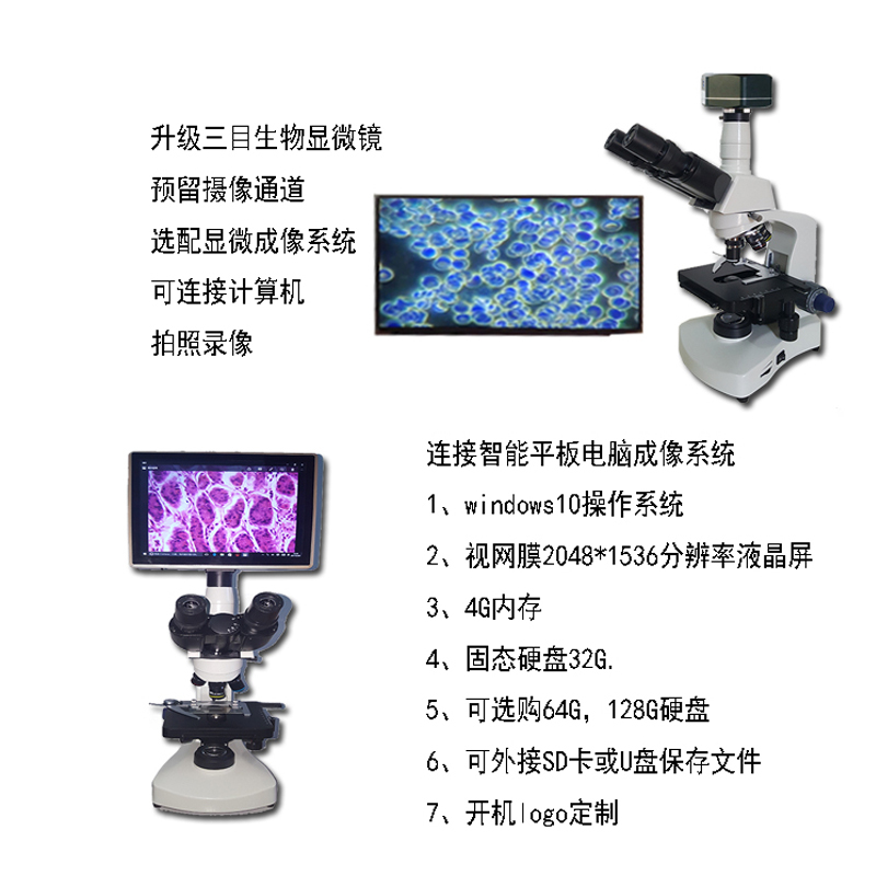 永新 生物显微镜 N117M双目生物显微镜