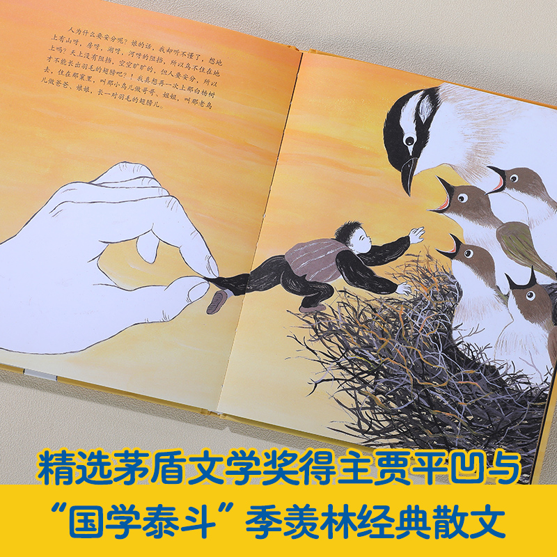 名家名作绘本系列 4册套装 [正版]名家名作绘本系列 月迹清塘鸟窠丑石2-3-6岁睡前绘本亲子互动阅读图画书 文学与艺术高清大图