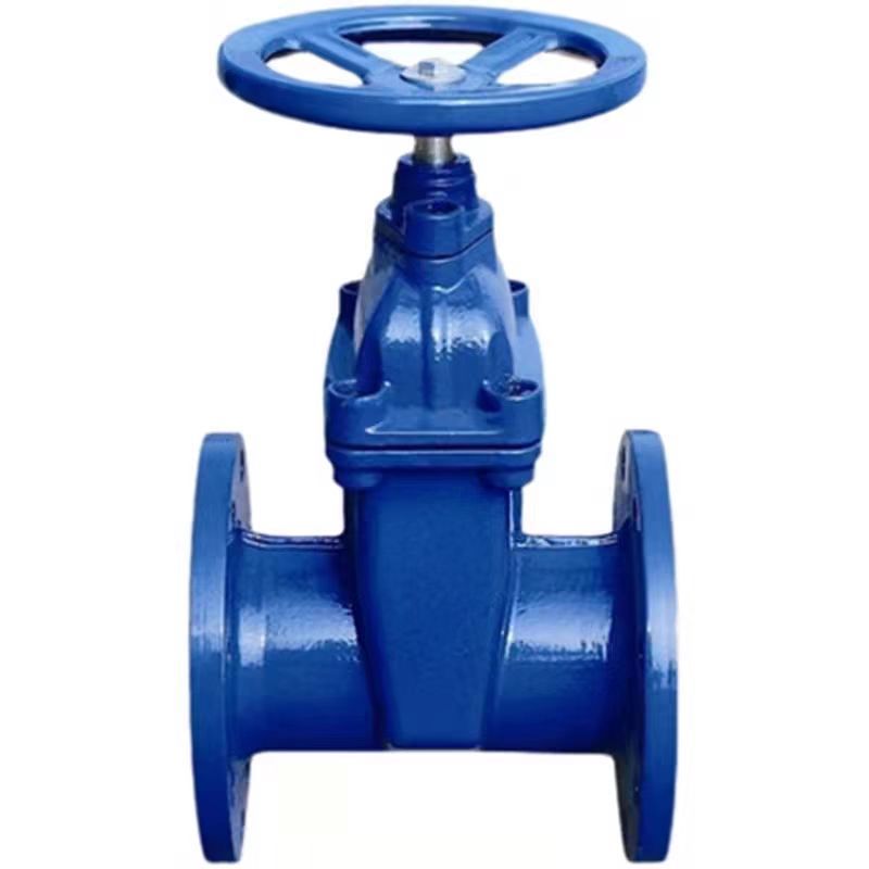 中锦科技 软密封法兰闸阀 多功能闸阀 DN350 台高清大图