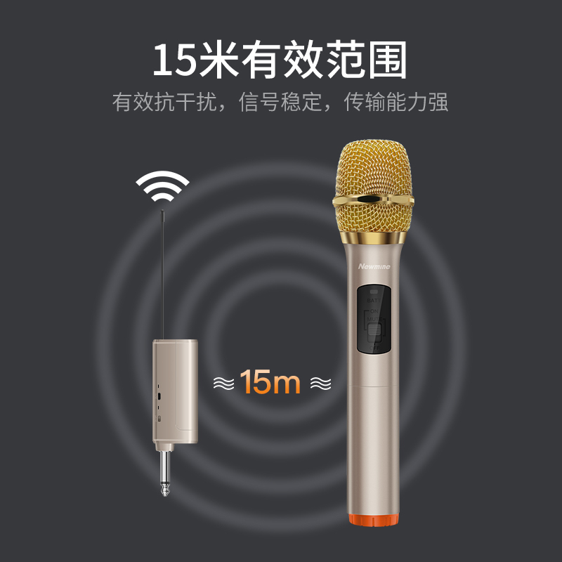 纽曼无线话筒一拖二U段调频舞台专业家用ktv专用全民k歌麦克风唱歌户外音响会议卡拉ok演出通用