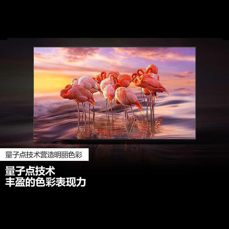 三星 QA65Q60CAJXXZ 65英寸 QLED量子点 智能语音 32G大内存 4K超高清电视