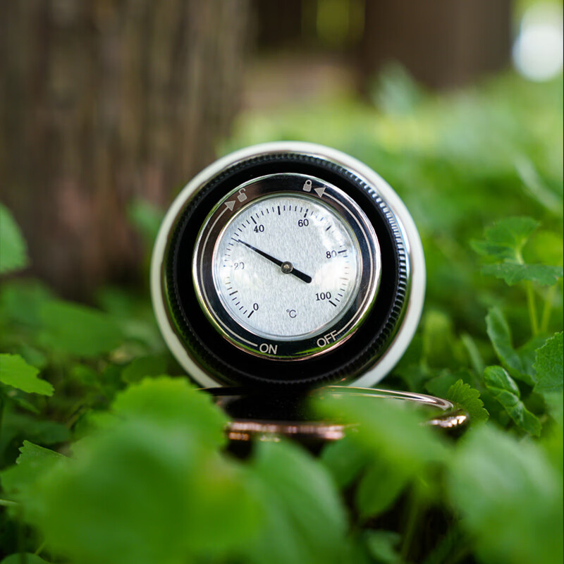 焖大师(MENDASHI) SG500 焖茶杯 时光印记随行杯户外旅行茶水分离机械温显保温杯 珍珠白500ml高清大图