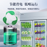 澳柯玛(AUCMA)VC-1380AJ两门展示柜冷藏保险柜商用点菜柜饮料柜两门开门立式