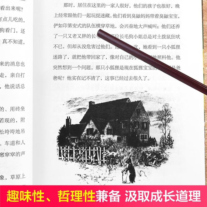 [纽伯瑞+高尔基自传]全套11册 [正版]纽伯瑞国际儿童文学金奖小说系列全套 中小学生老师二三四五六年级下册必读的课外书