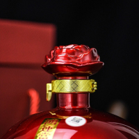 【珍酒官方授权】珍酒53度2008封坛酒 1.65L单瓶大坛酒酱香型固态白酒坤沙酒高度白酒粮食酿造