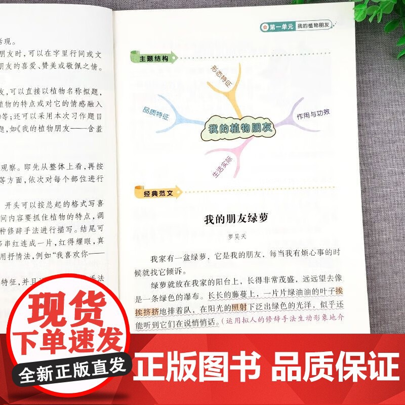 三年级下册小学生同步作文+300字限字作文全2册 入门起步专项训练优秀满分范文仿写素材积累写作技巧提升作文大全高清大图