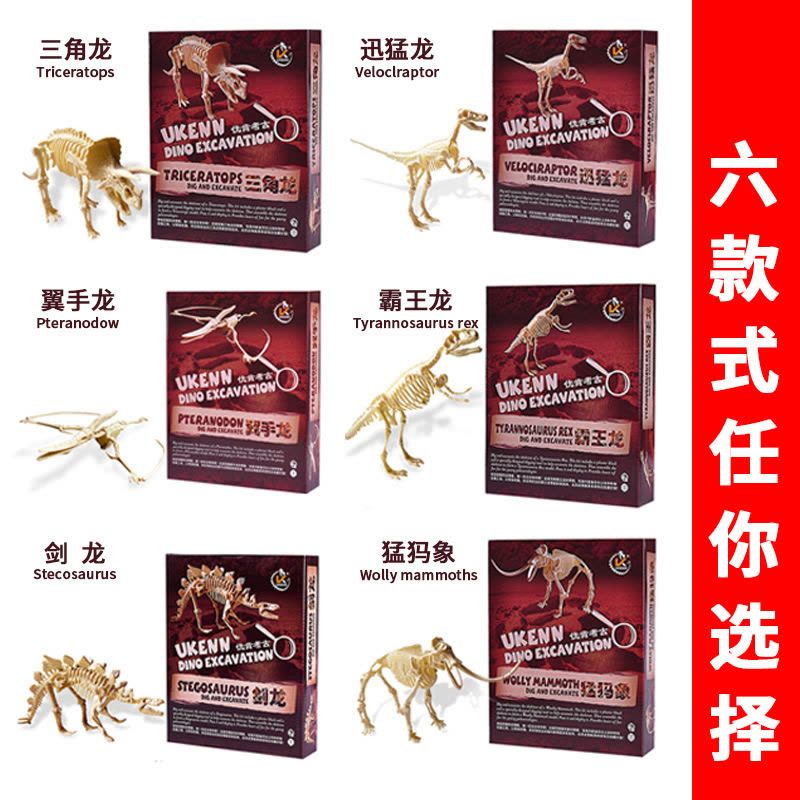 儿童恐龙化石考古挖掘骨架拼装恐龙模型DIY手工制作科普玩具 新款小号三角龙考古标准款图片
