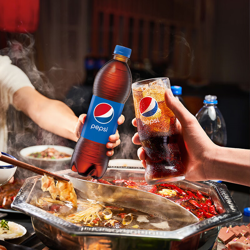 百事可乐500ml24瓶装20箱起发单箱不发