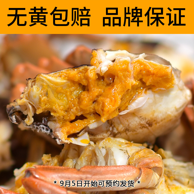 [礼券]蟹秋礼 盘锦大闸蟹河蟹 稻田大闸蟹 1998型 公:4.3-4.7两 母:3.3-3.7两 5对 海鲜水产