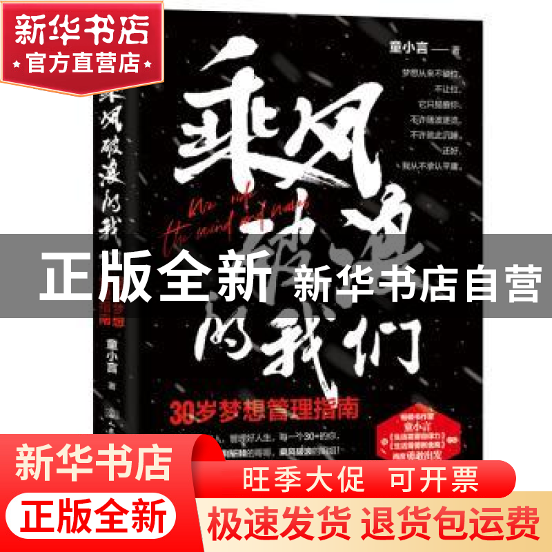 正版 乘风破浪的我们:30岁梦想管理指南 童小言 人民交通出版社高清大图