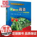 棚室蔬菜栽培图解丛书--图说棚室蔬菜科学用药