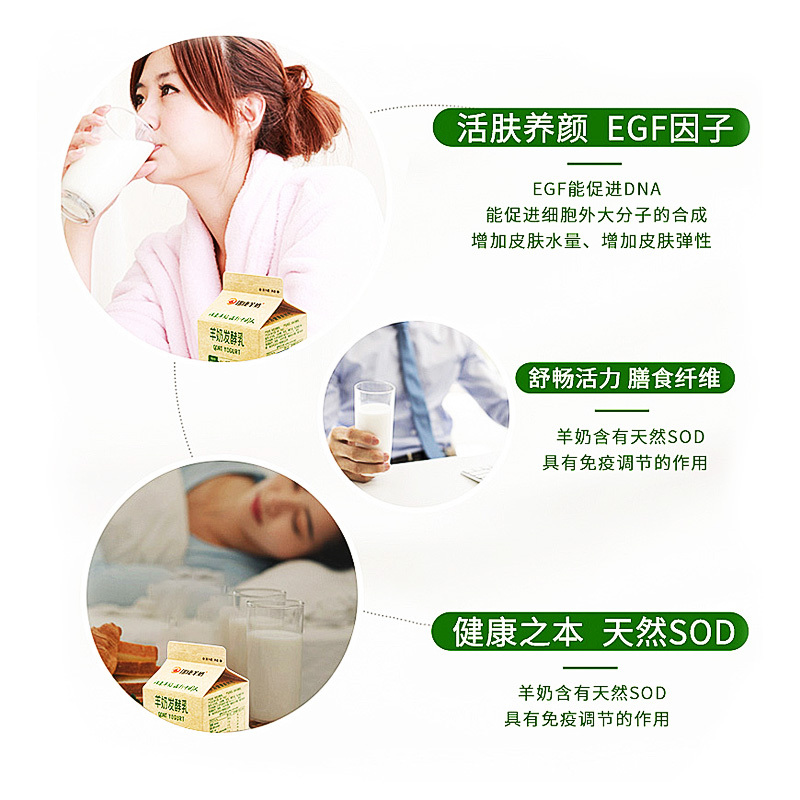 瑞康羊奶发酵乳益生菌乳酸菌饮品低温原味酸羊奶200ml*8盒整箱