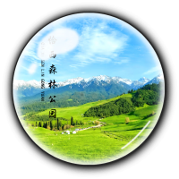 维诺亚新疆城市旅游纪念品水晶冰箱贴磁贴喀什乌鲁木齐那拉提风景区定制 恰西森林公园(大号圆5CM)