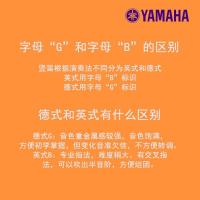 雅马哈(YAMAHA) 雅马哈高音英式/德式学生初学8孔竖笛 YRS-23G