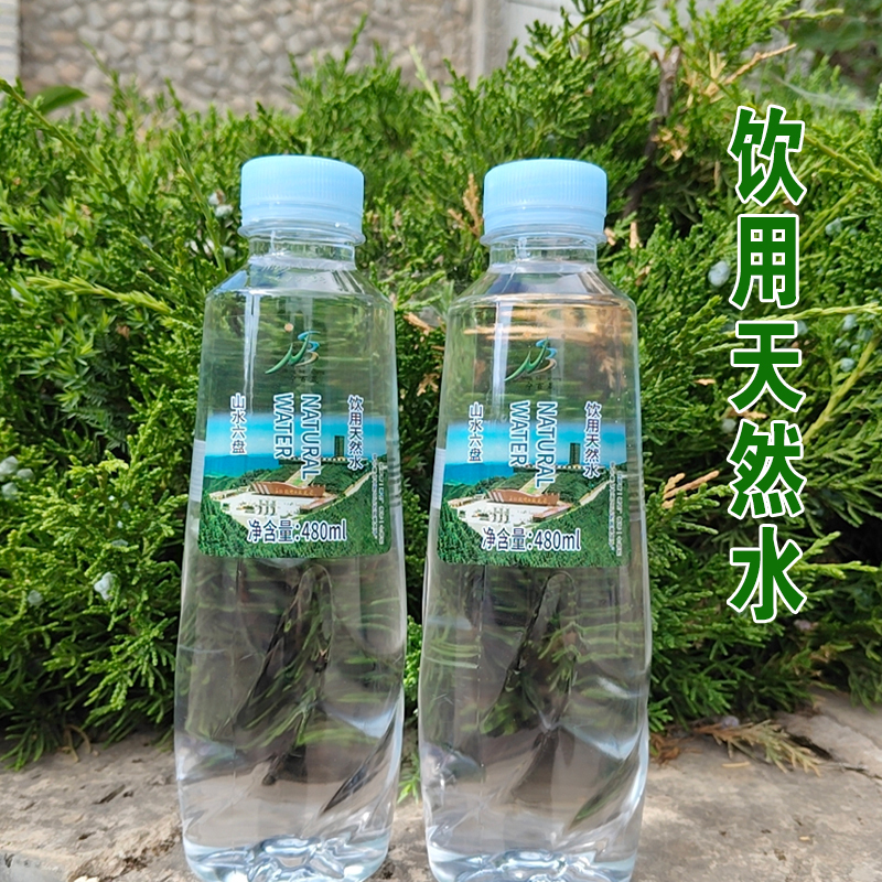 饮用天然水480ml*20瓶/箱高清大图