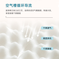 酒店同款床垫独立袋装弹簧三分区科学护脊床垫亲水棉繁星之夜系列床垫KLS03厂家正品直销(预售10天内发货)